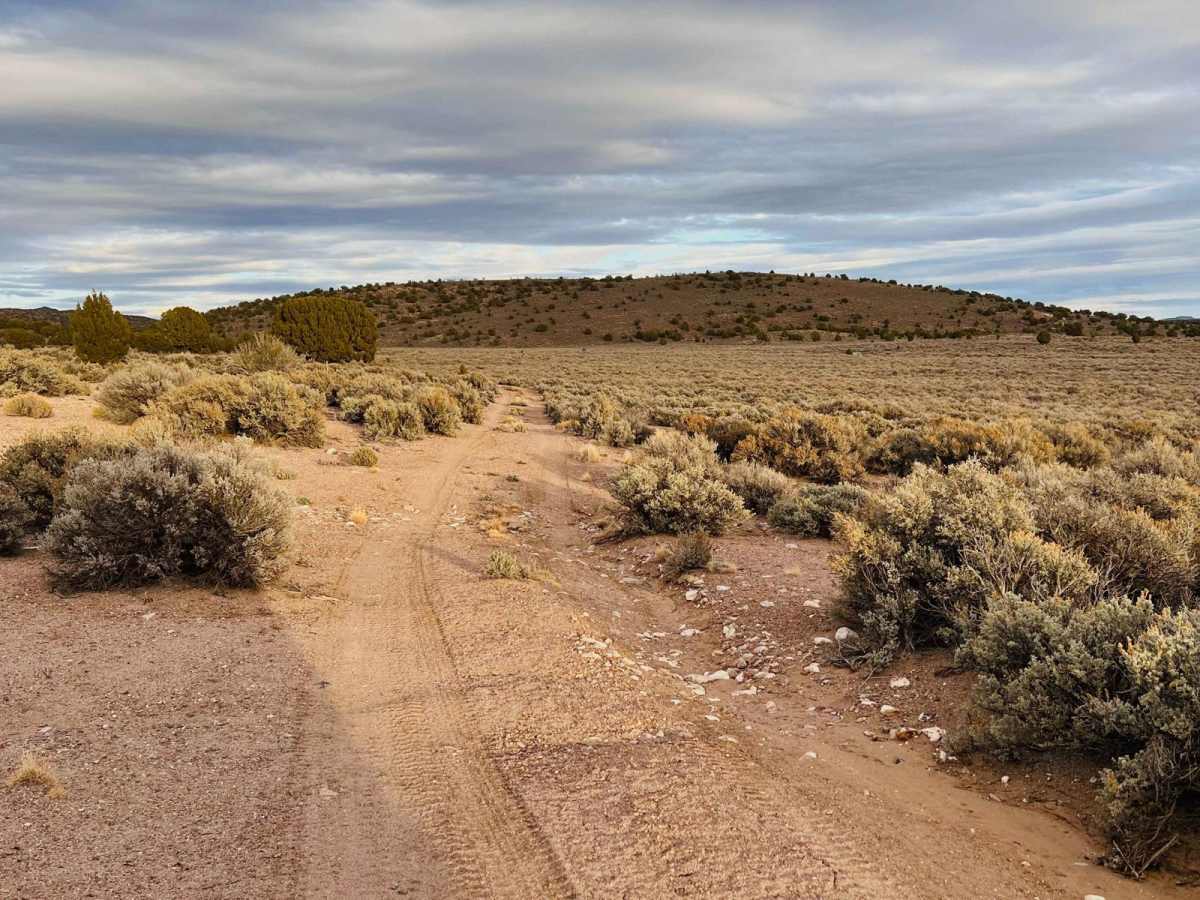 Willow Springs Half Loop photo 4