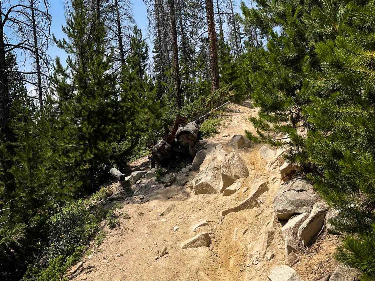 Willow Pass Trail photo 3