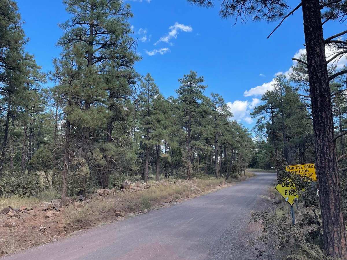 Stoneman Lake Access Road photo 2