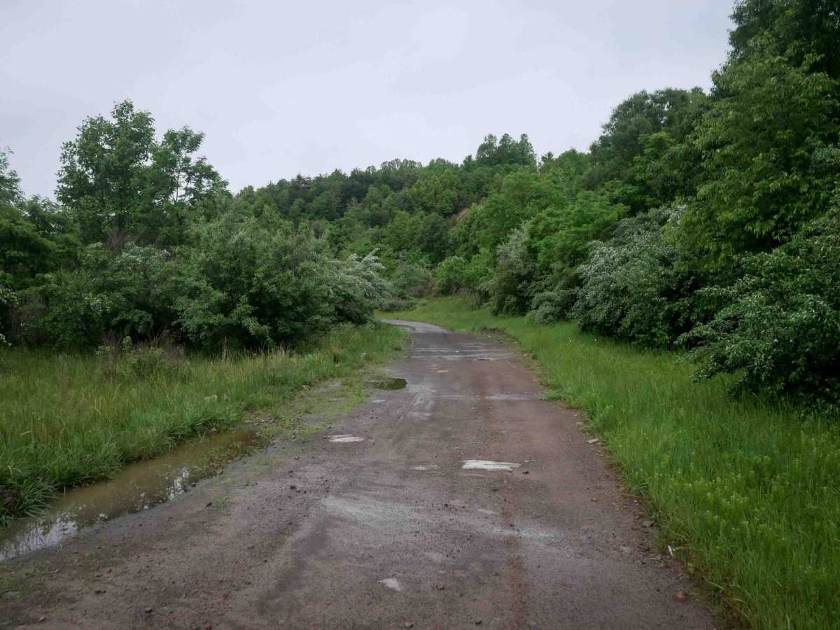 CC8 photo 2