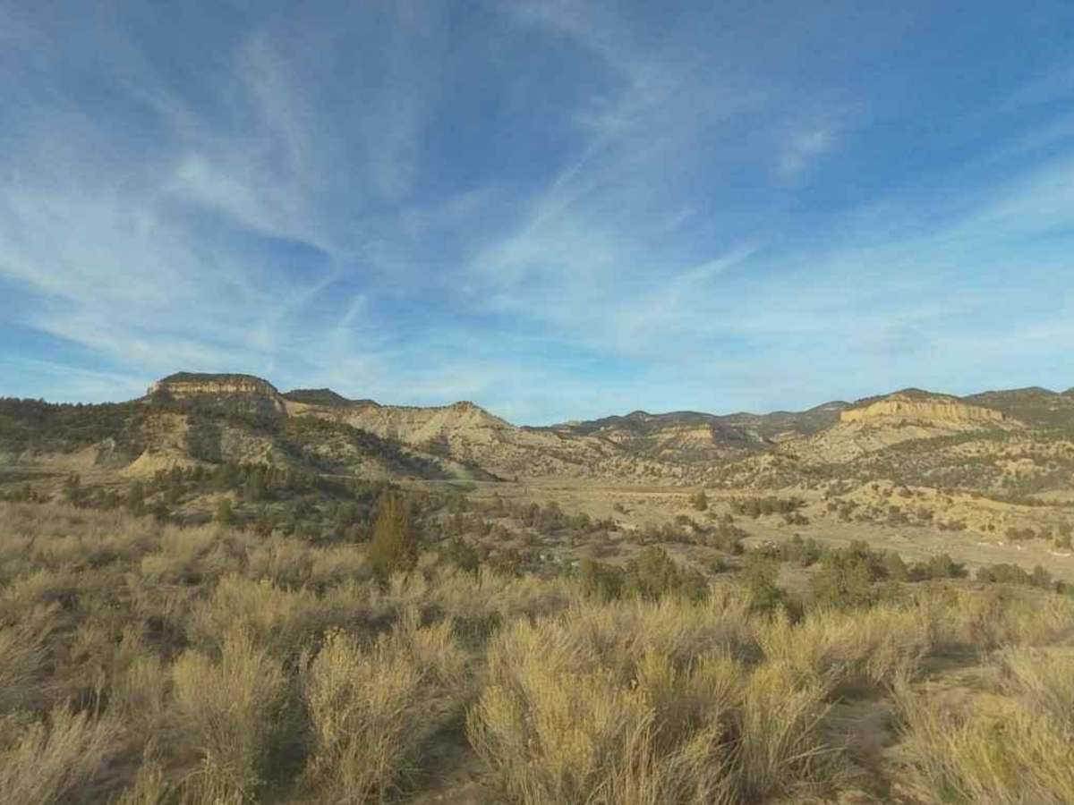 Trail Canyon trail photo