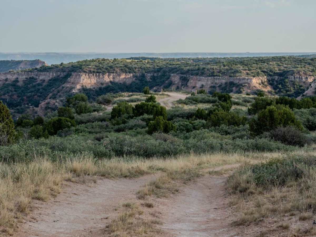 Lookout Trail trail photo