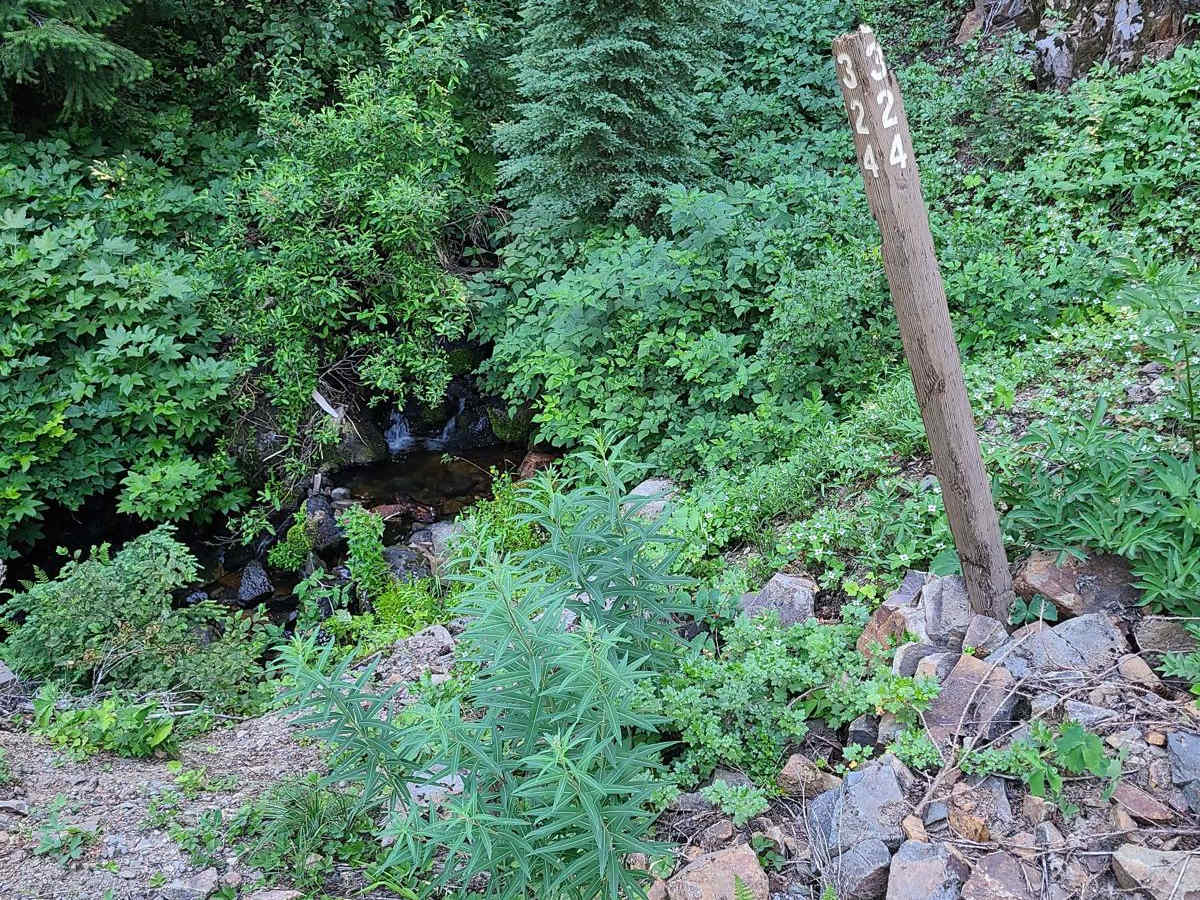 Hills Creek photo 5