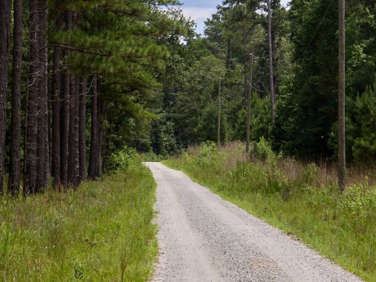 Orangeburg Road photo 2