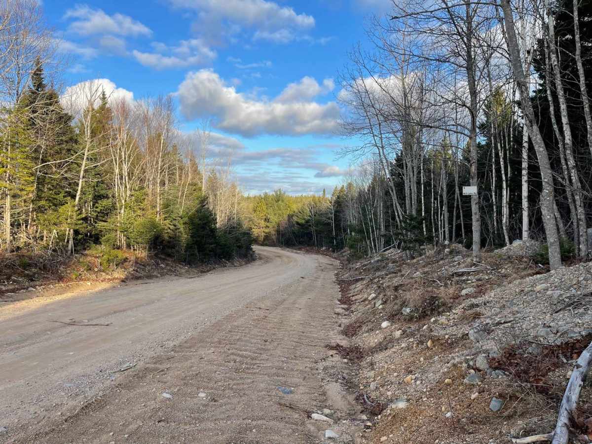 Mill Lake Road photo 3