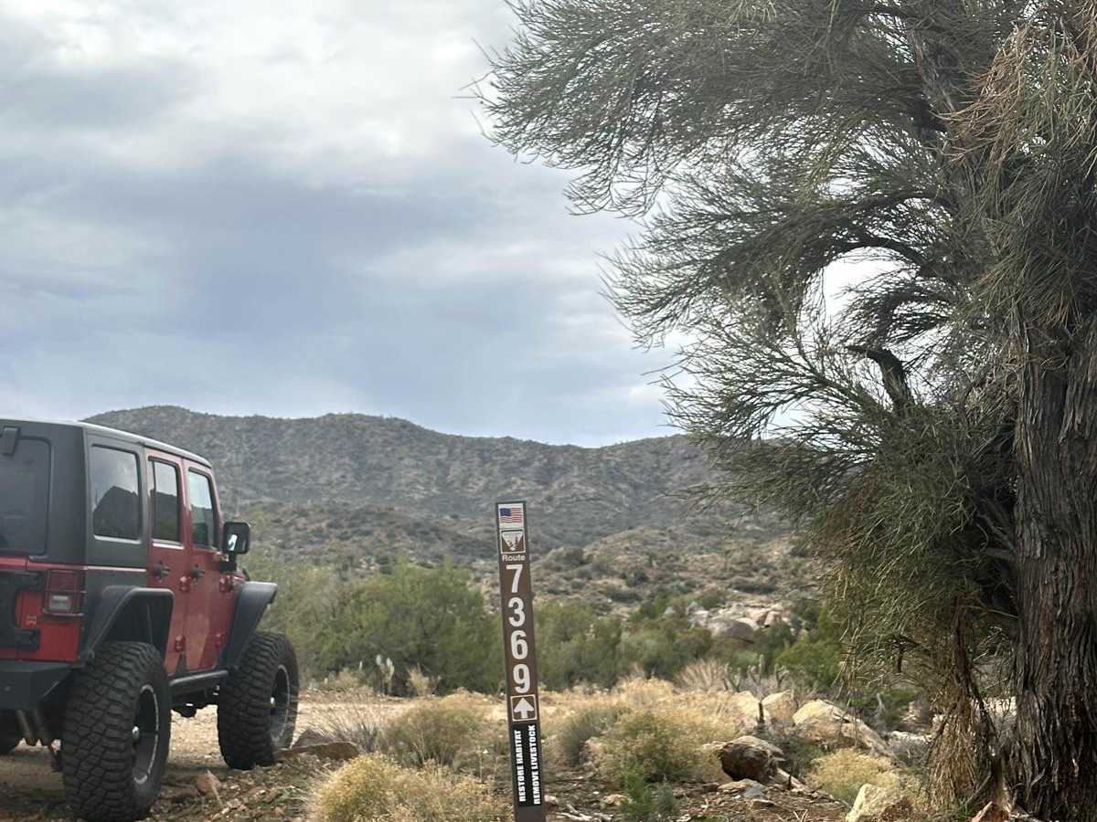 Shannon Basin Alt Trail photo 6