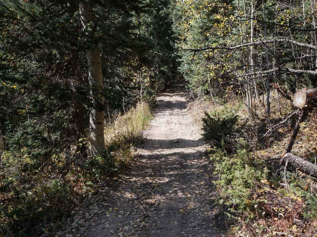 Spring Creek ATV Trail (West) photo 6
