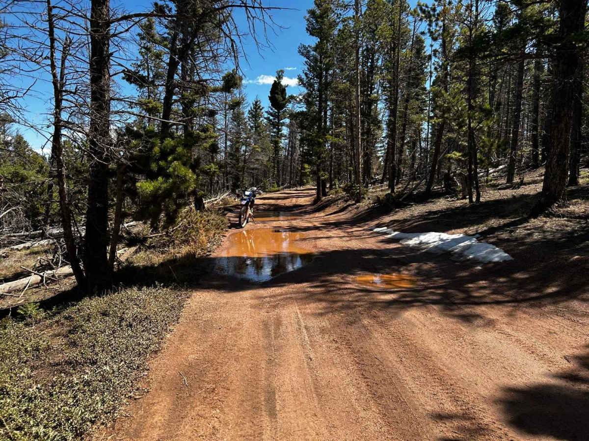 Boulder Ridge Road trail photo
