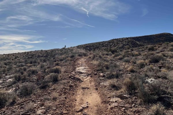 Lower Warner Ridge