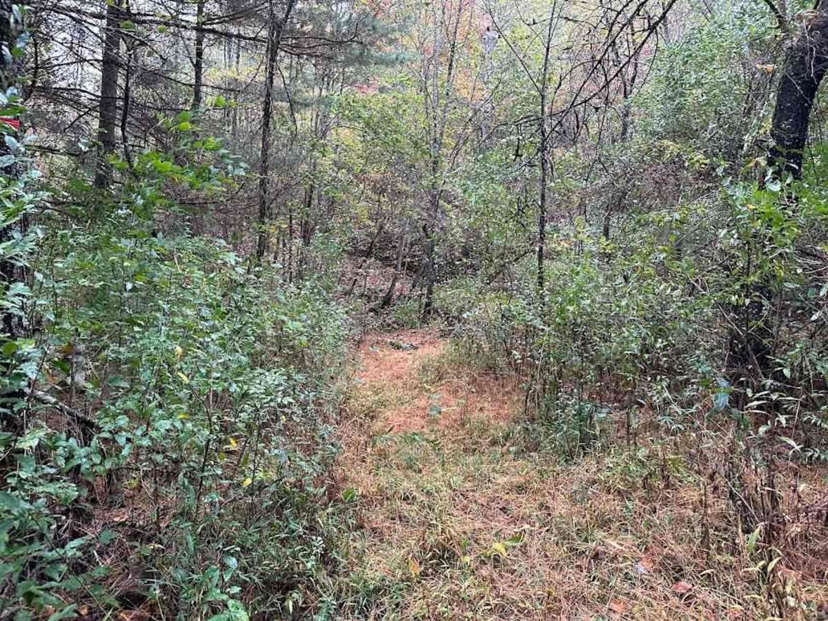 168 Single Track photo 3