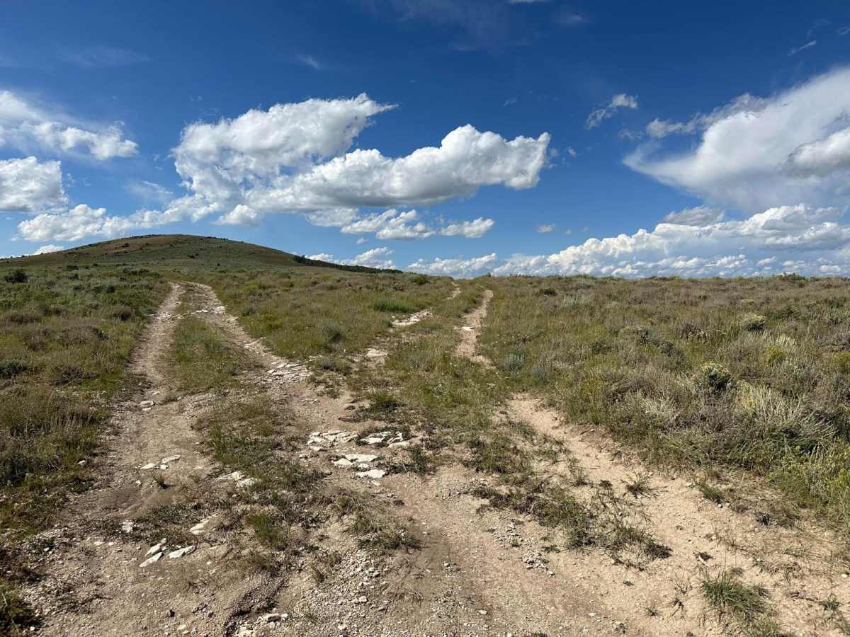 Fossil Butte BLM Trail photo 3