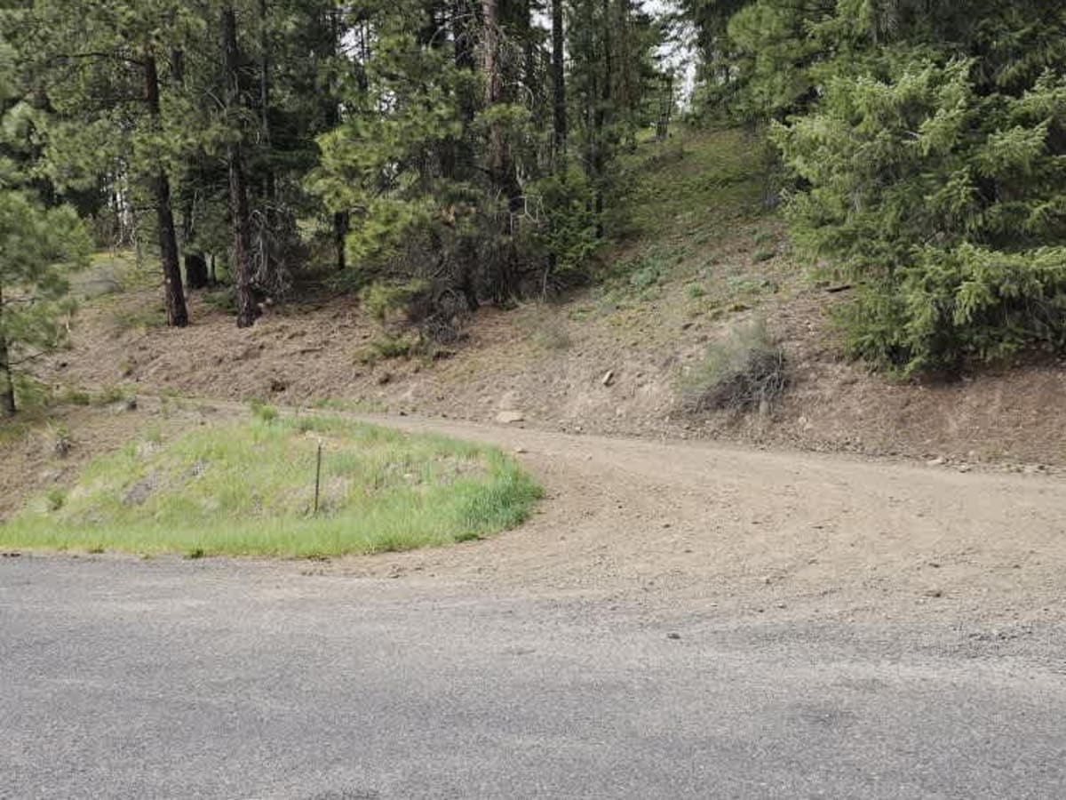 Cedar Creek Road photo 2