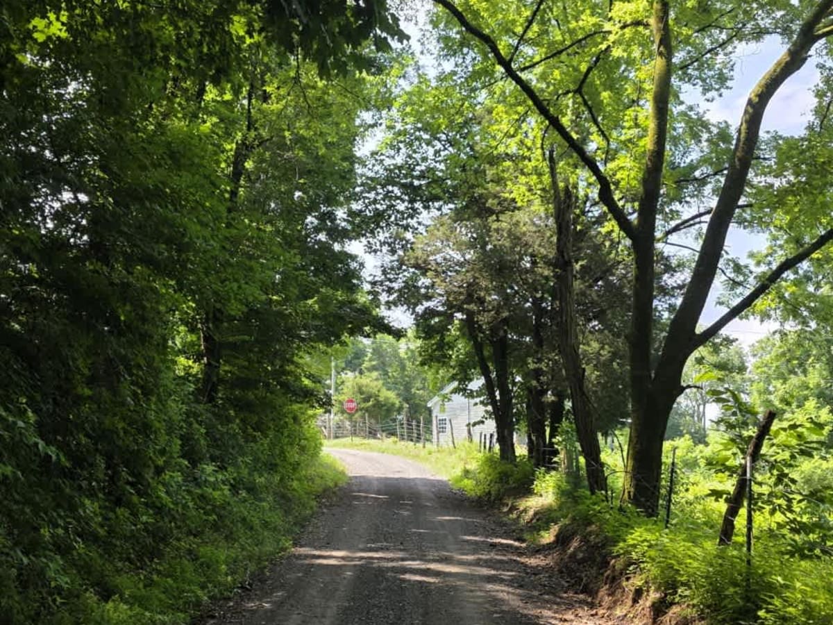 Dry Branch to Dixon Creek Road - Macon County Tour photo 6