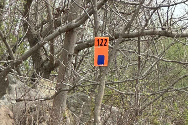 122