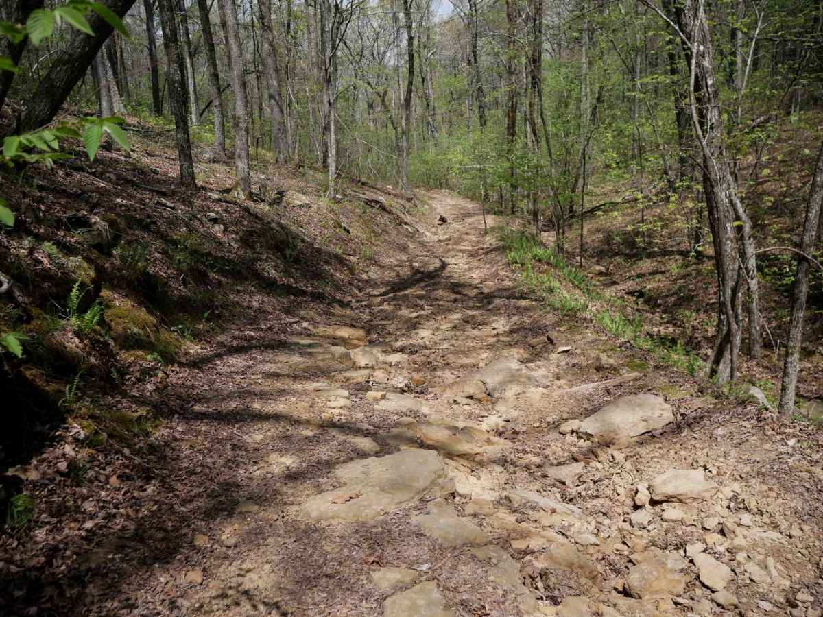 Black Oak Ridge Loop trail photo