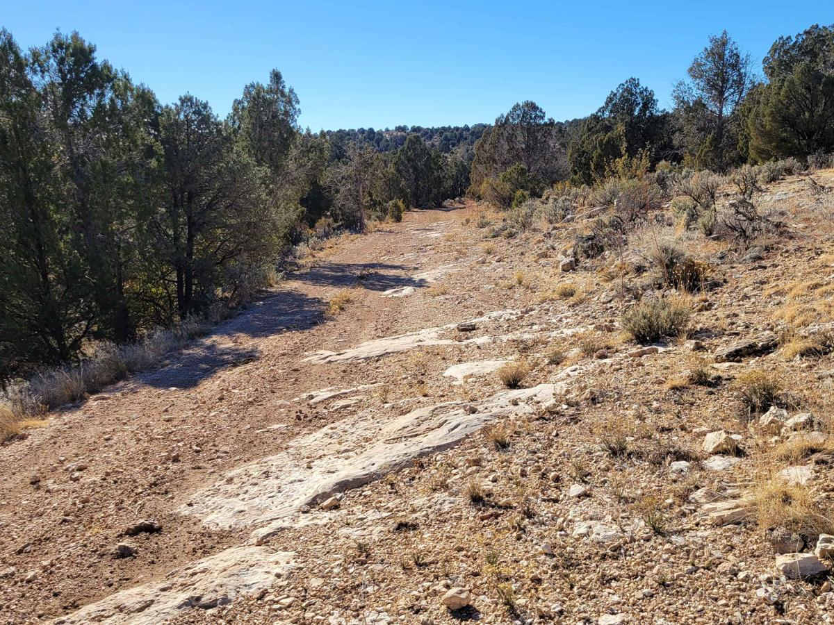 Grassy Point Road - BLM 1046 photo 2