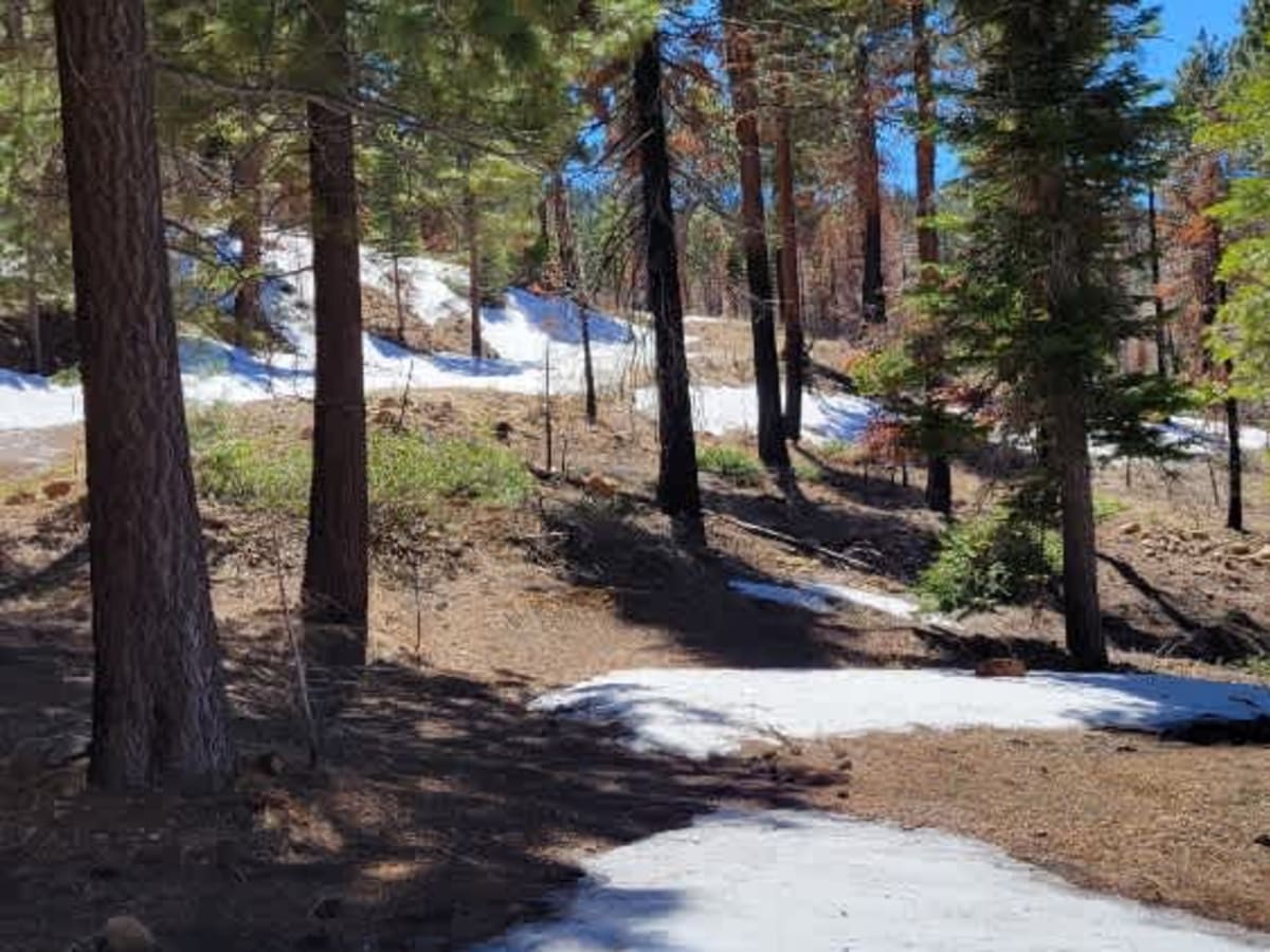 Plimco Mine Road at Spade Way photo 2