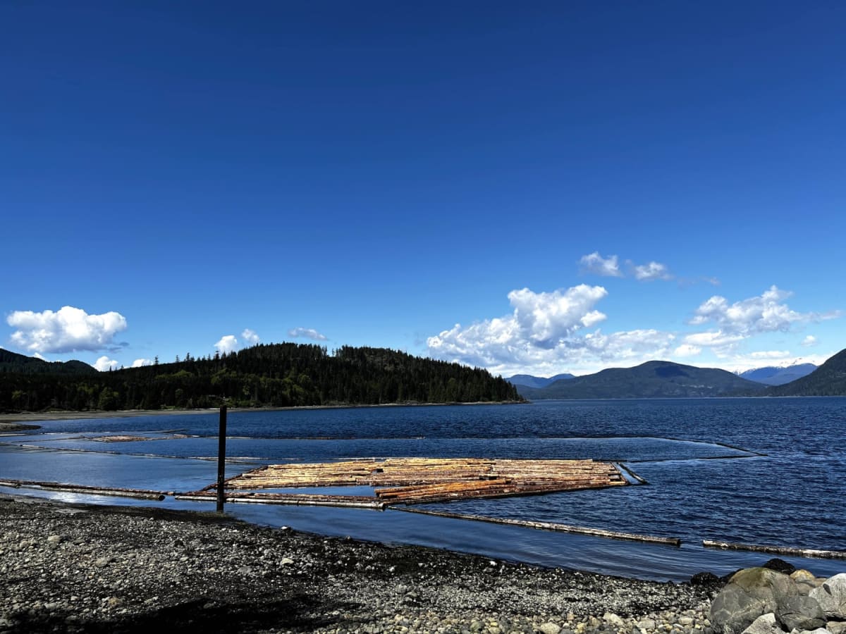 McMullen Point Beach photo 5