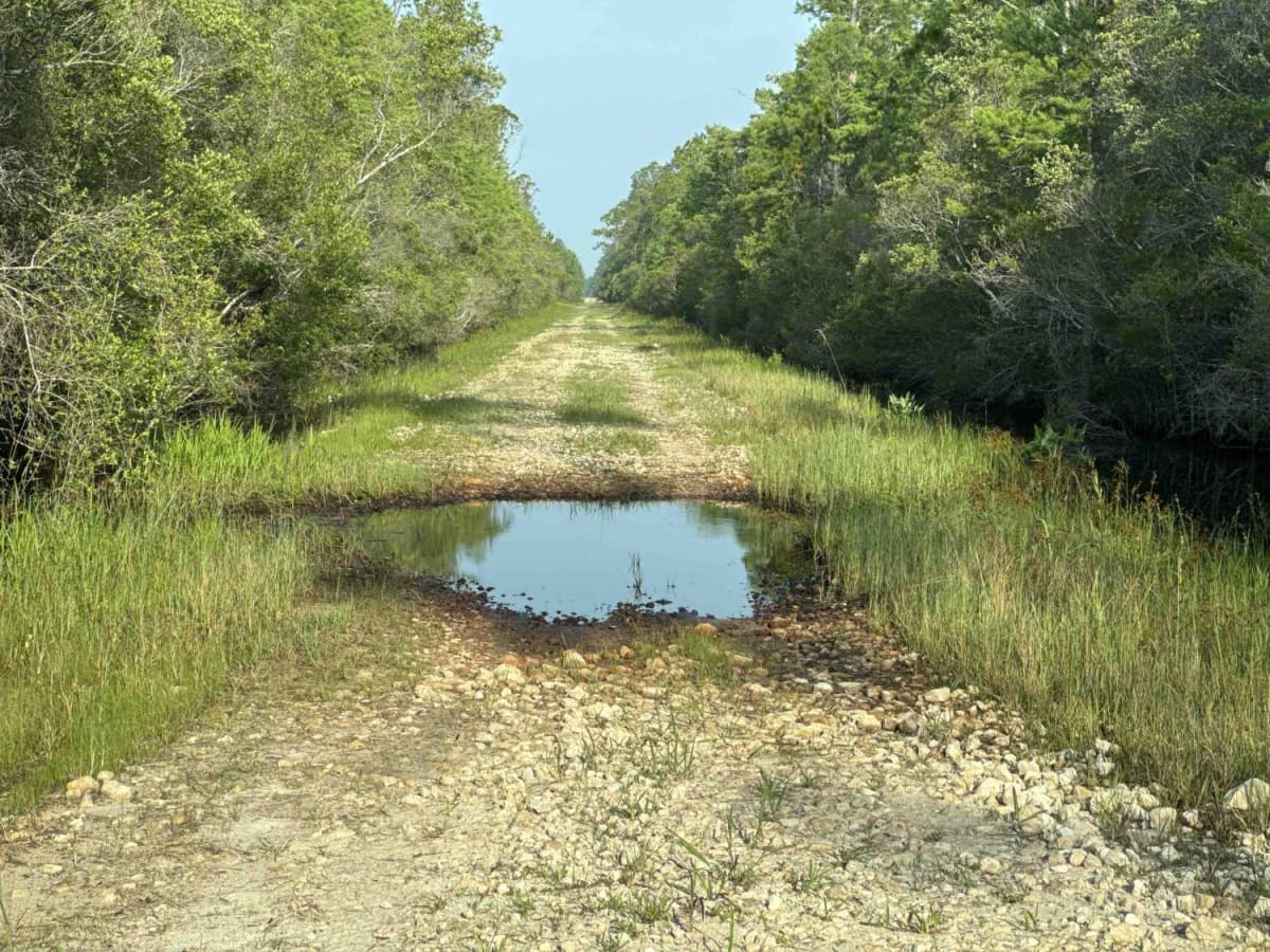 Boundary Road photo 5