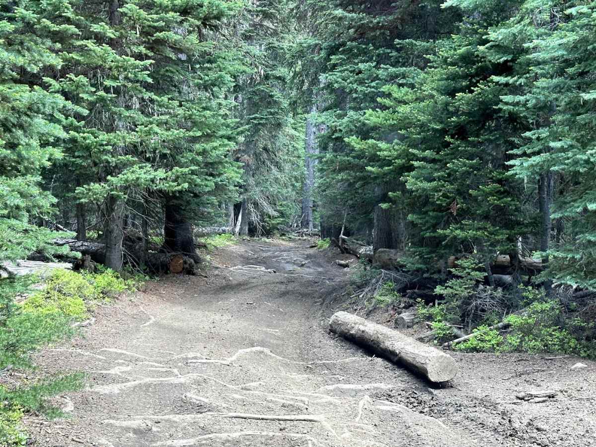 Tripod Flats Trail photo 3