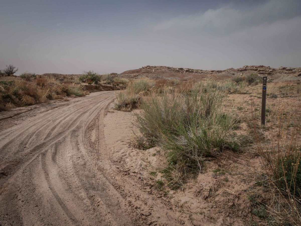 Upper Salt Wash photo 6