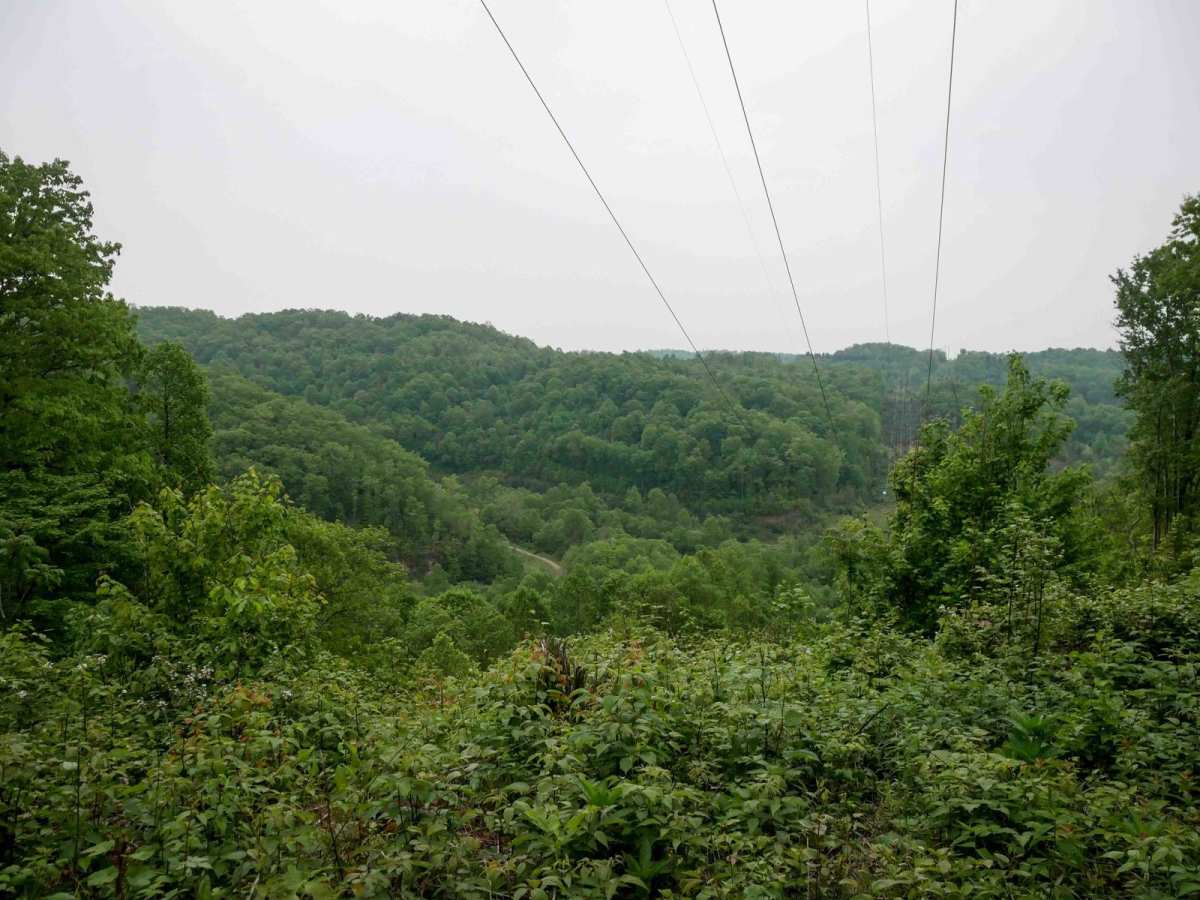 J7 trail photo