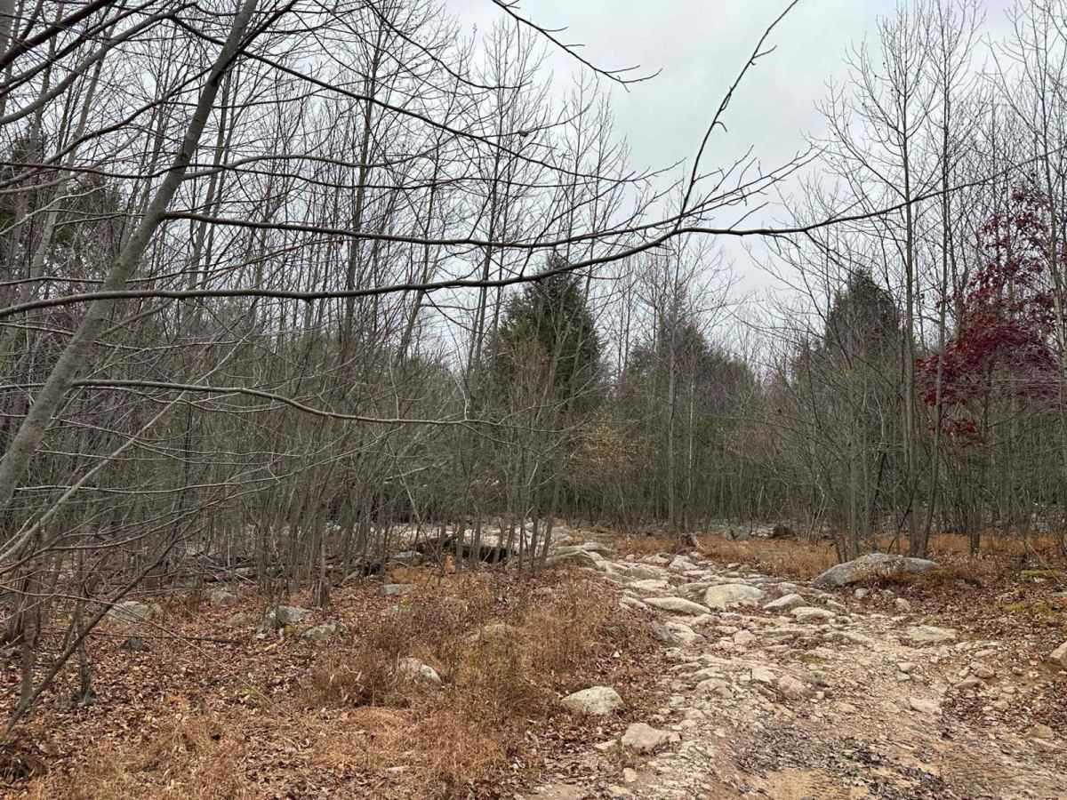 23 Blue trail photo