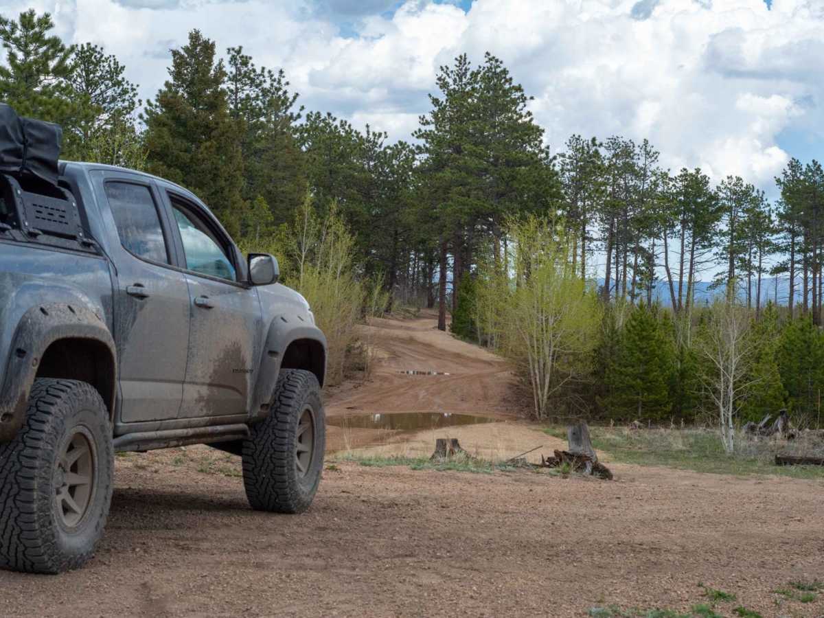 Cedar Mountain Road - Teller County Road 51 trail photo