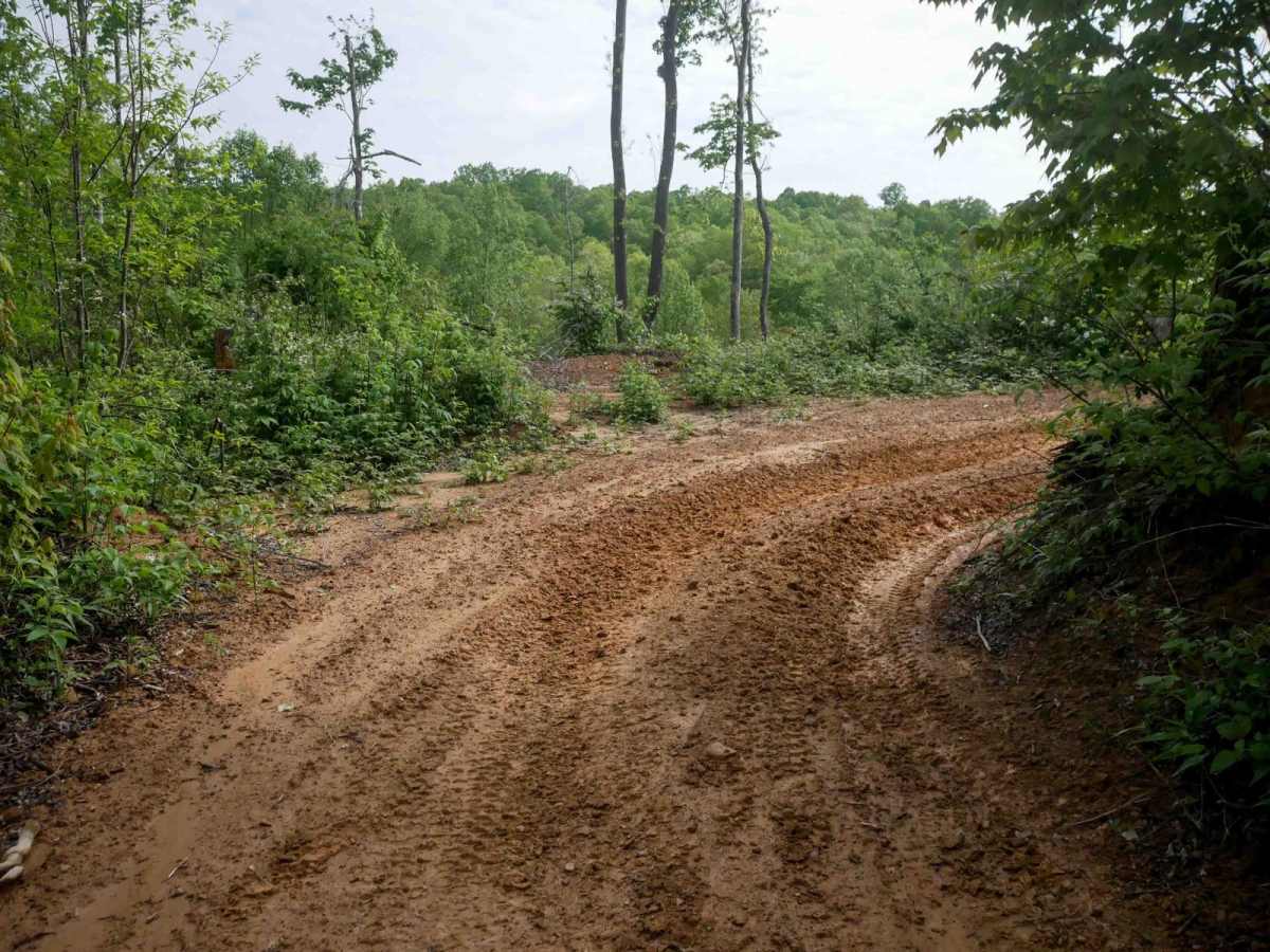 OP 128 trail photo