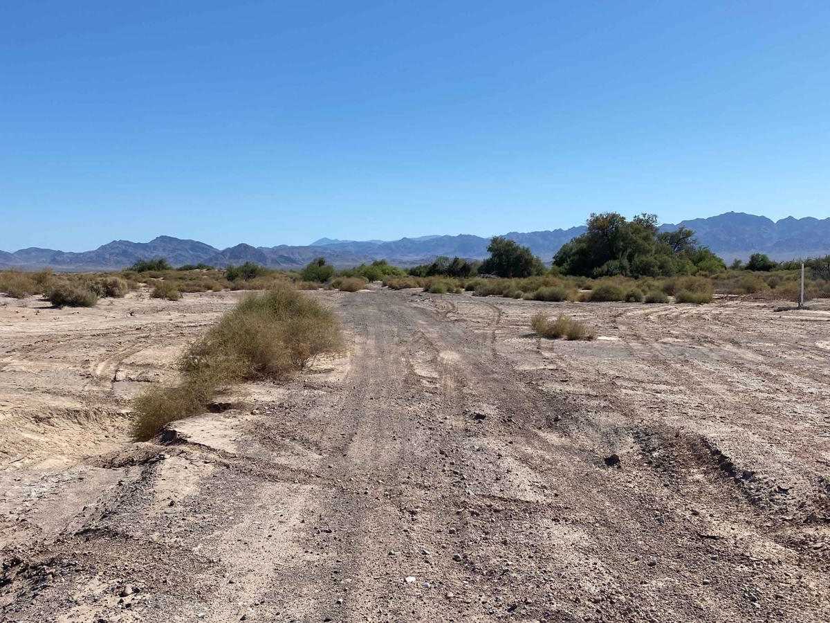Salt Flats Loop photo 4