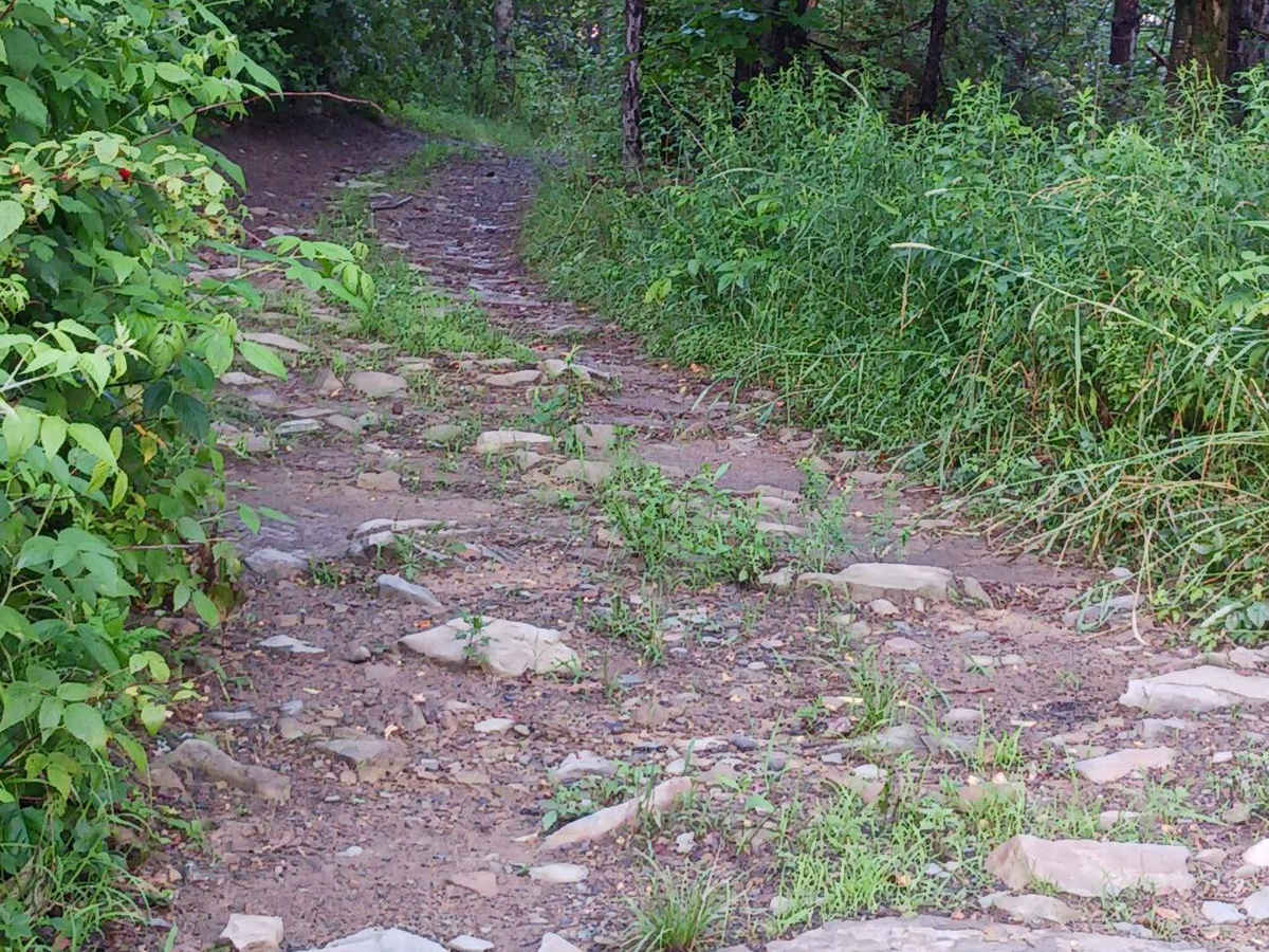 Trail 12M - Rock Run Recreation Area photo 2