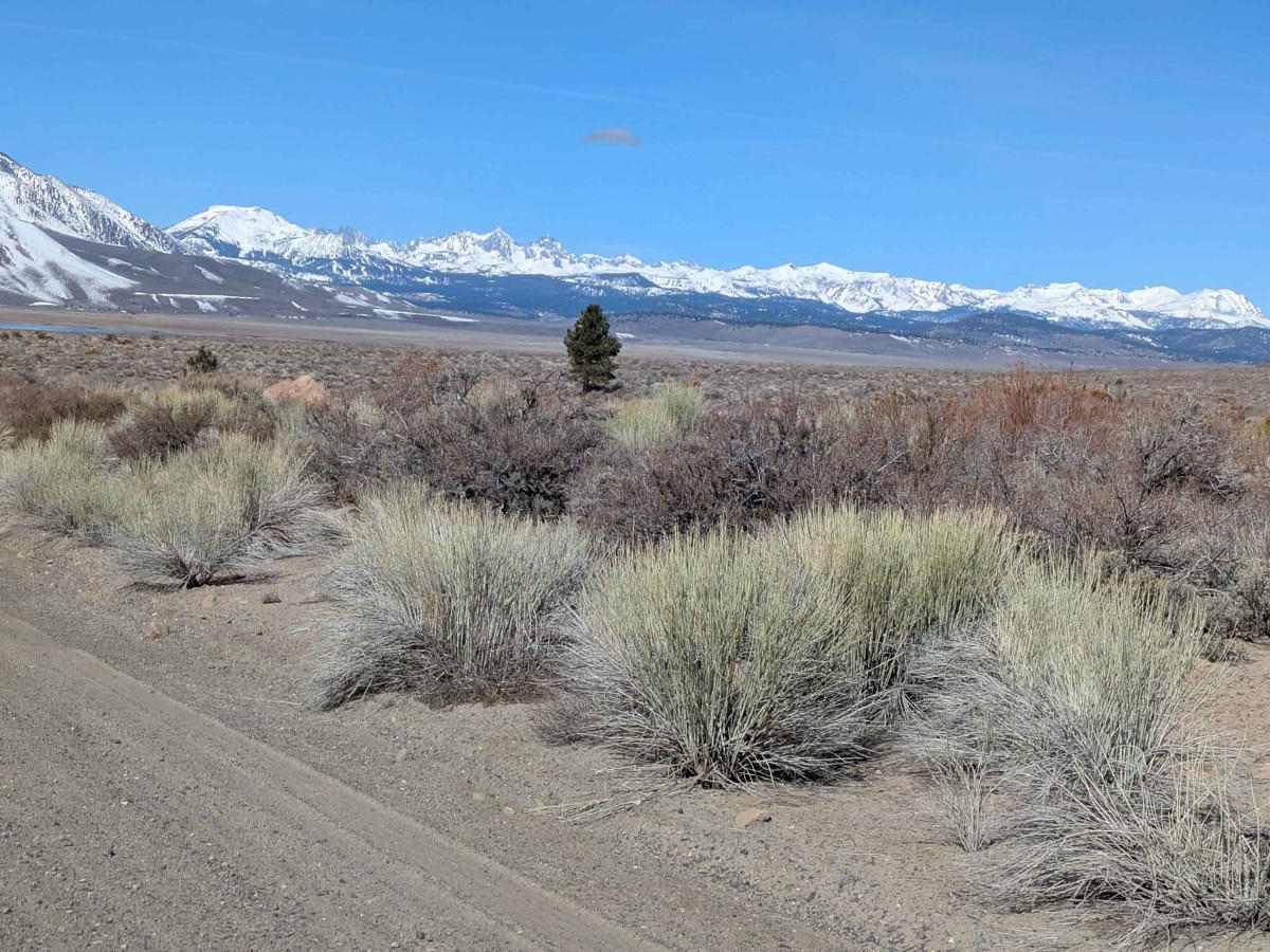 Owens Gorge Road photo 6