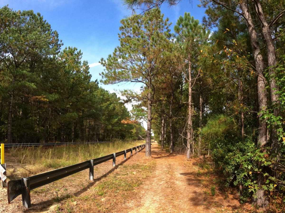 Adventure Alley trail photo