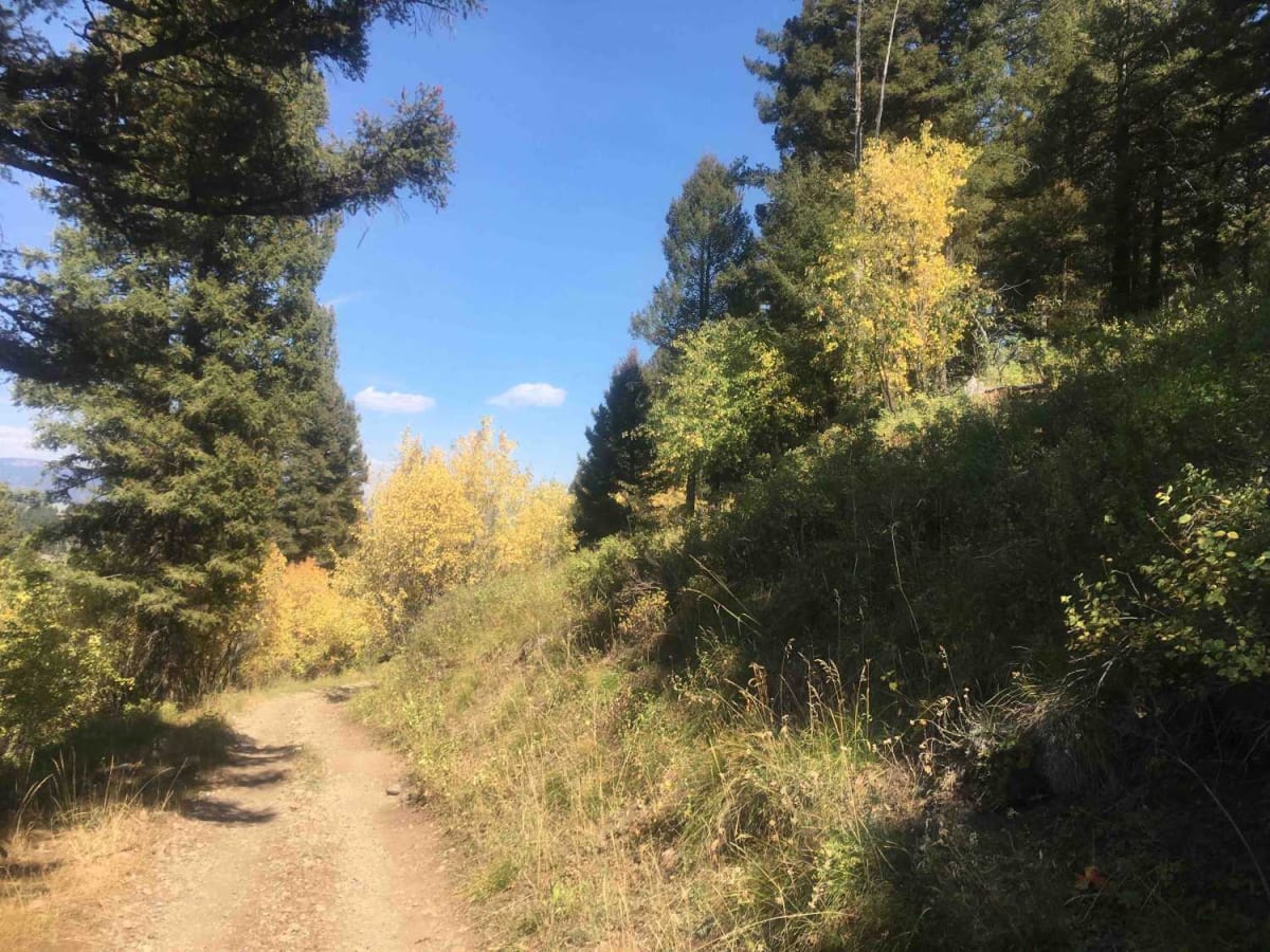 Stoddard Creek Loop Trail photo 3
