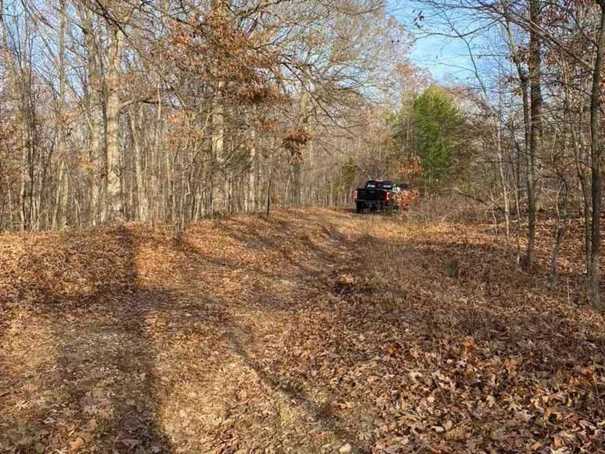Armadillo Hill FSR 127A photo 6