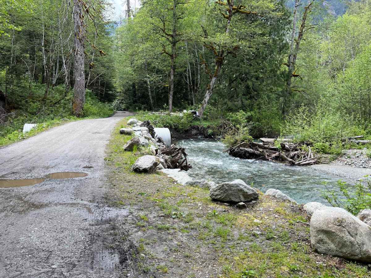 Cascade River Road photo 3
