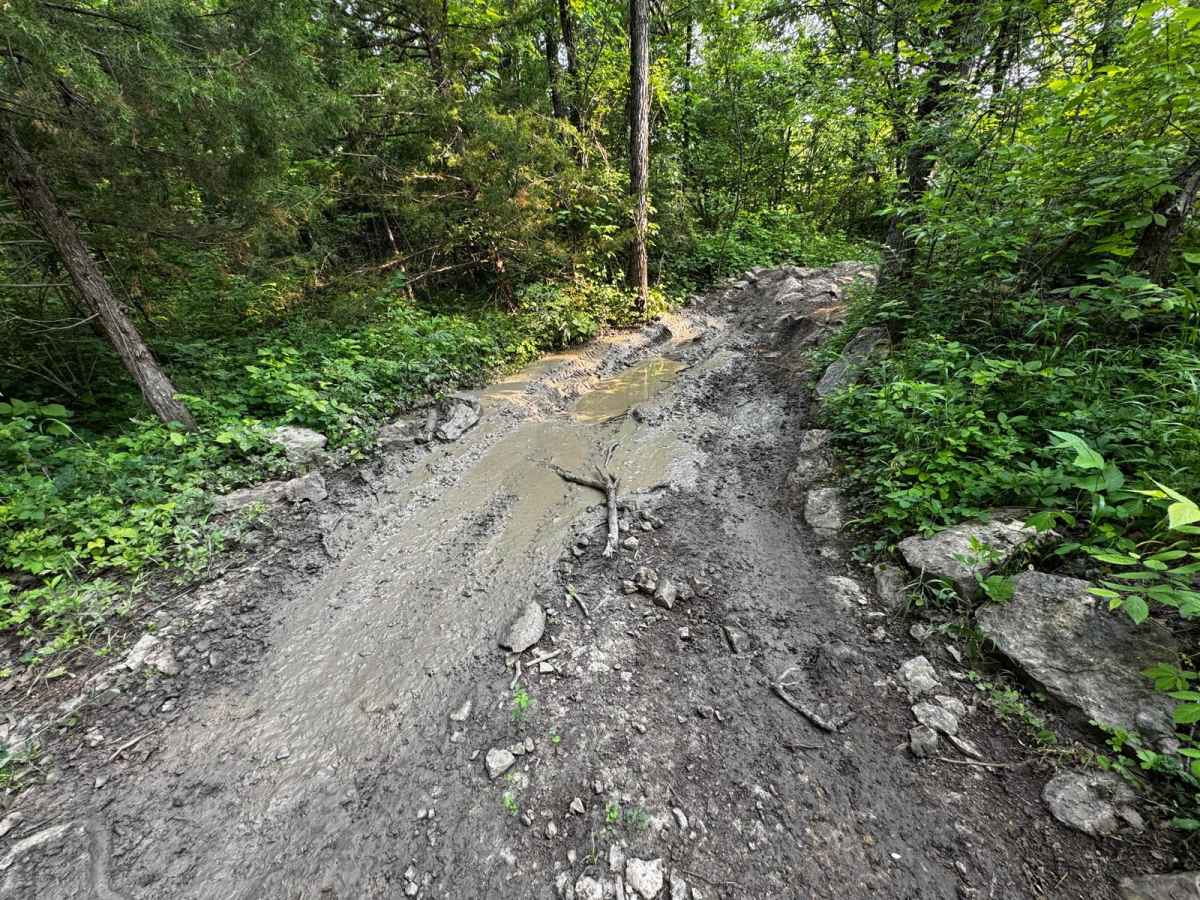 Memphis' Hill 87 photo 4