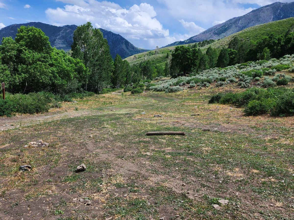 Bear Fork photo 5