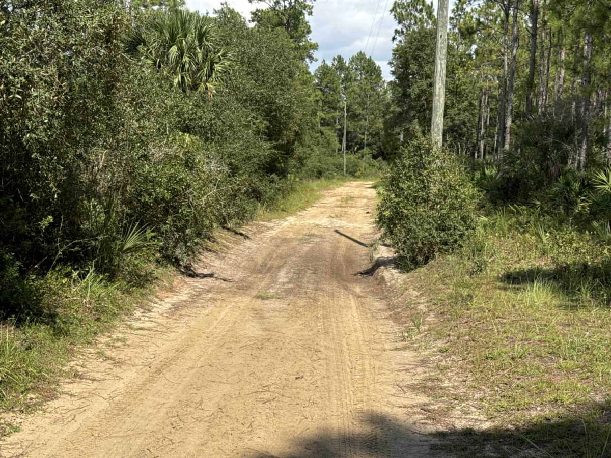 Telephone Trail - ONF 71 photo 4