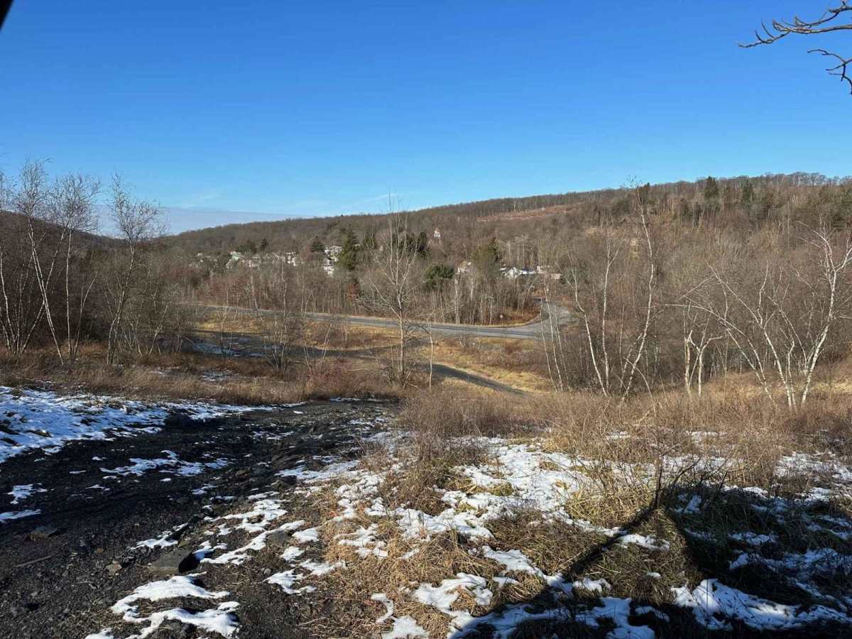 Locust Gap 60 photo 5