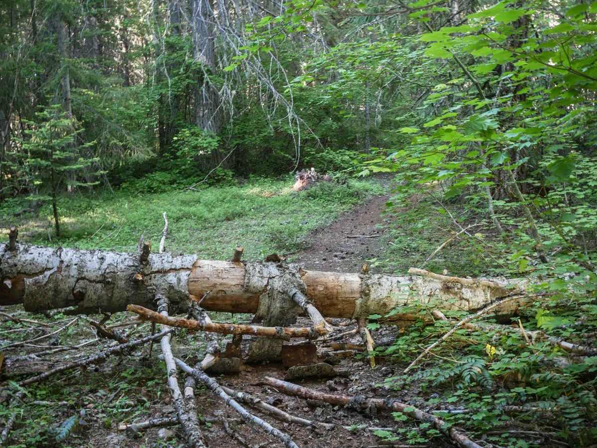 575A trail photo