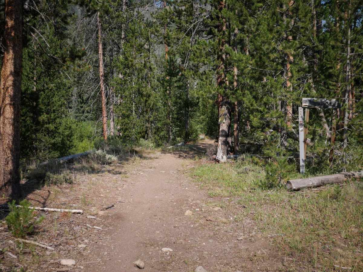 Sawmill Creek trail photo
