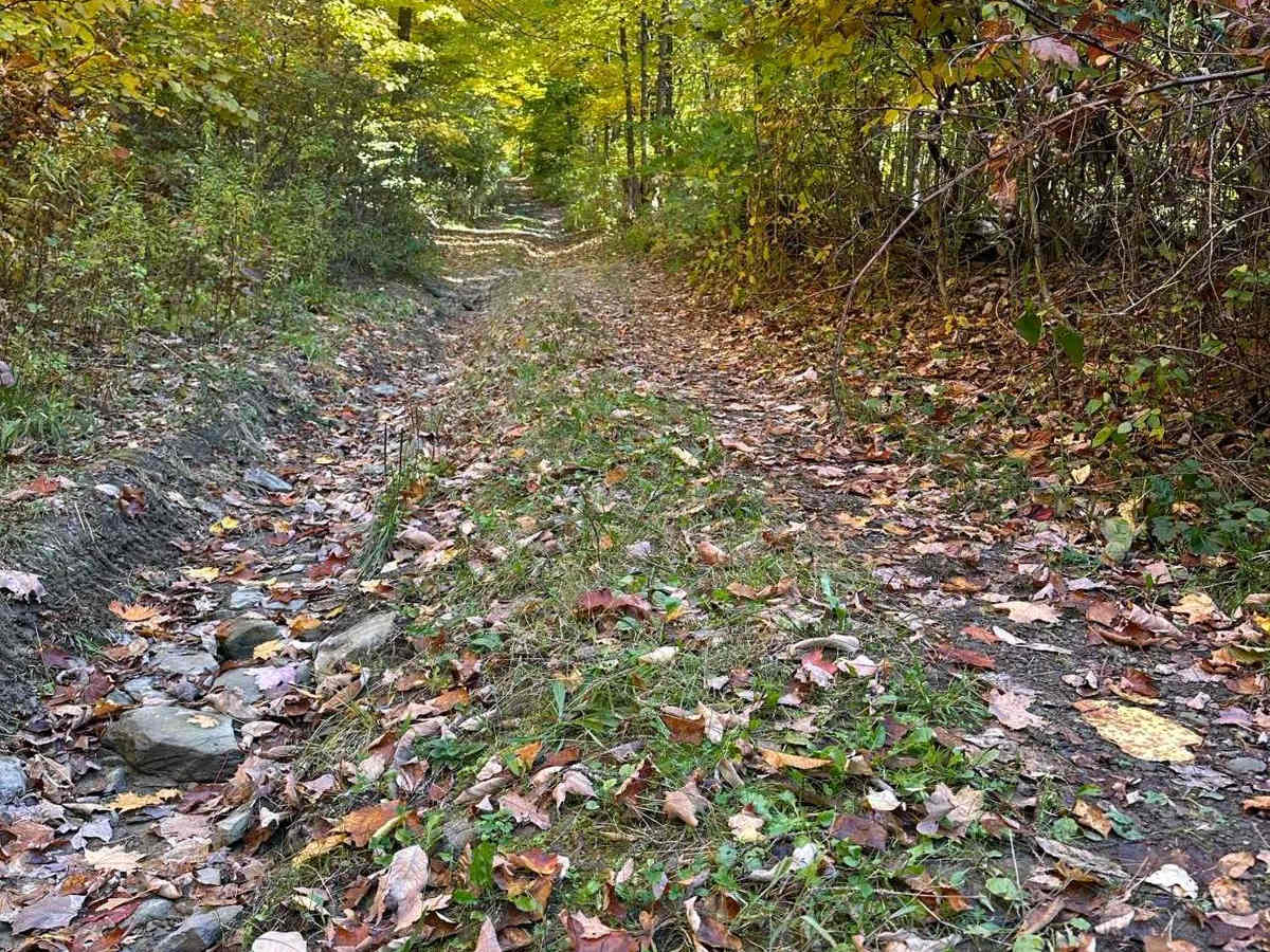 Wood Hill Road photo 4