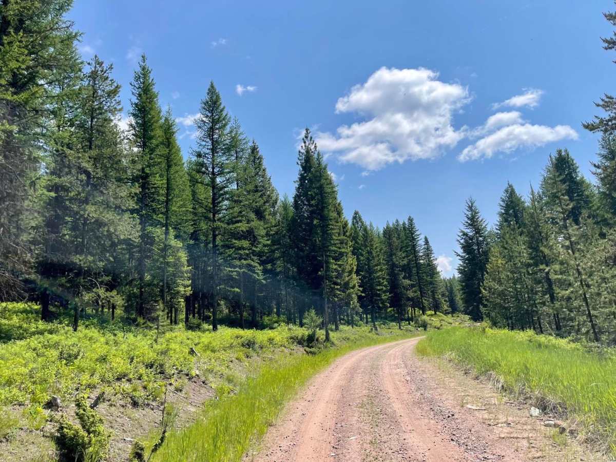 Auggie Cutoff Trail photo 5
