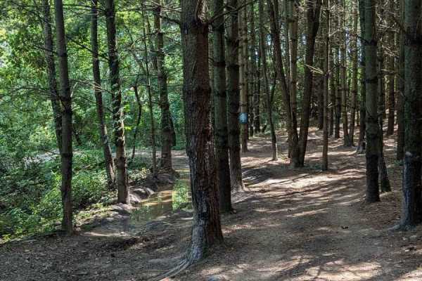 Border Trail Part 2