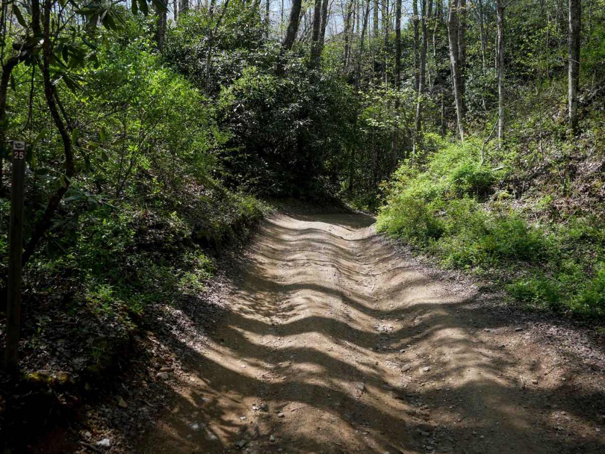 P25 trail photo