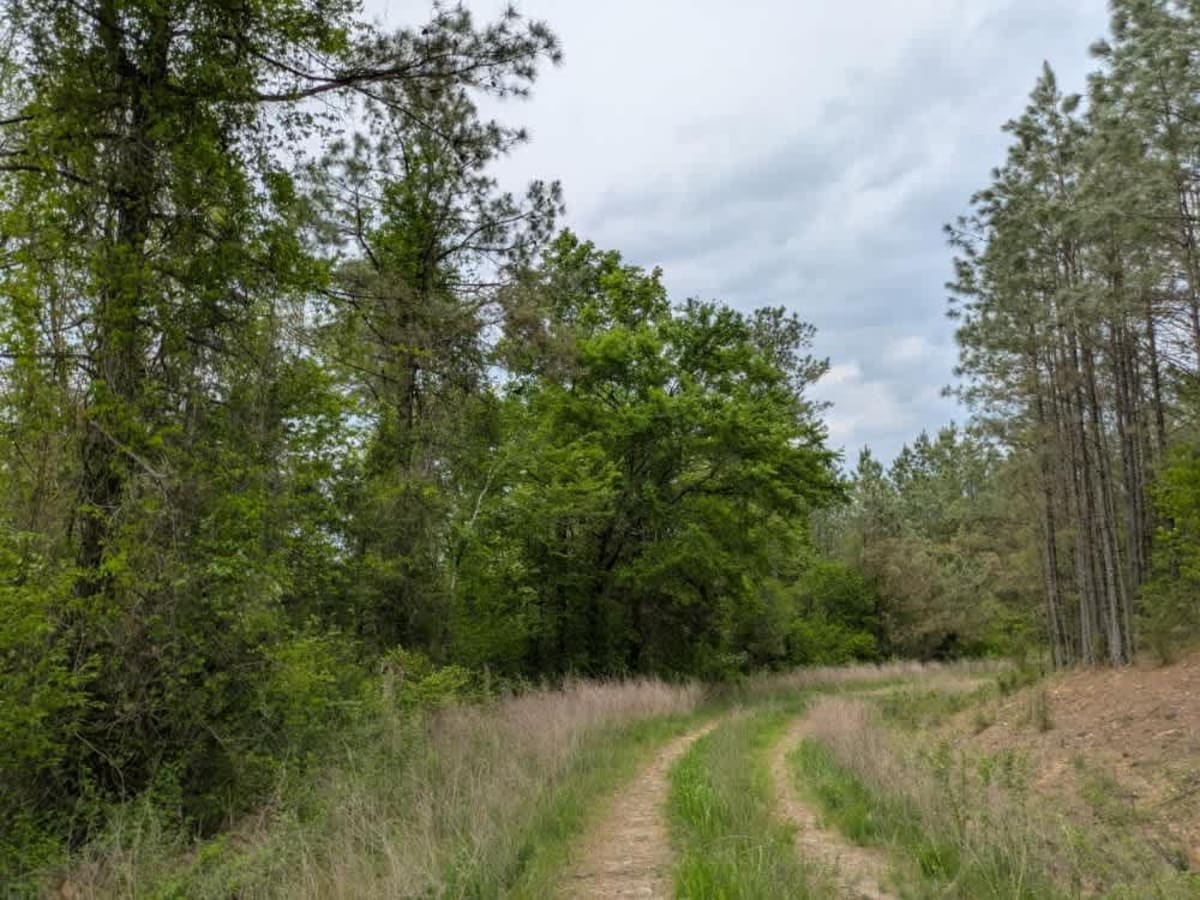 51707 photo 6