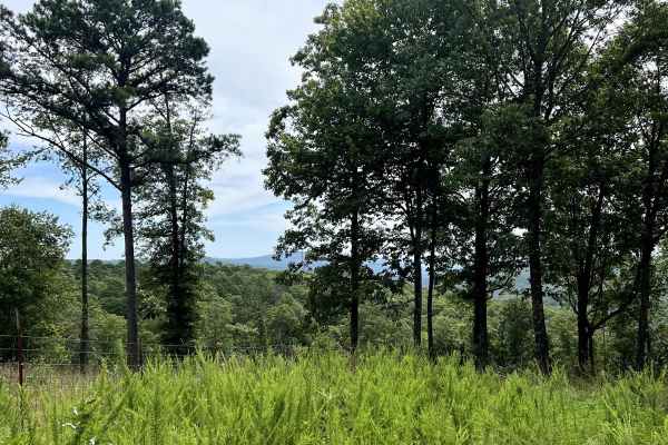 Walnut Ridge Connector