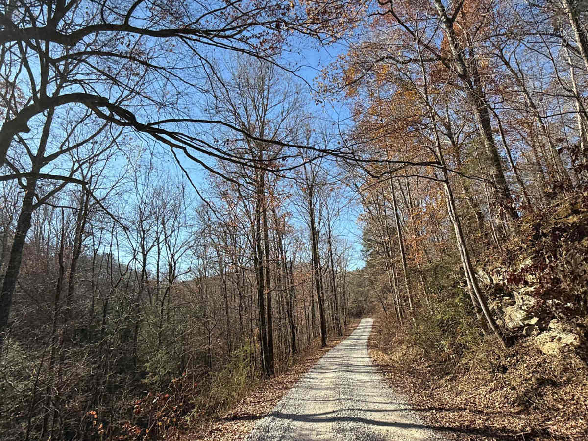 Mount Olive Road - FS 245 photo 4