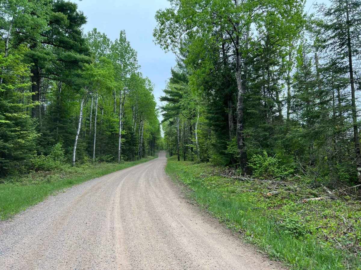 Wolf River Road Trail trail photo